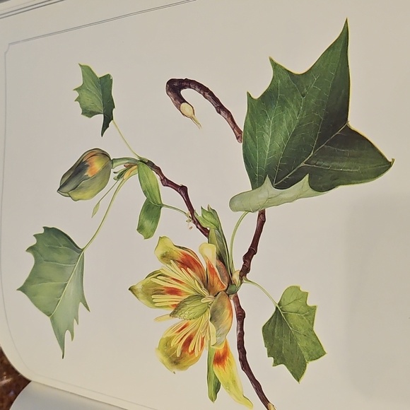 Coffee Table Book - Picture 3 of 4